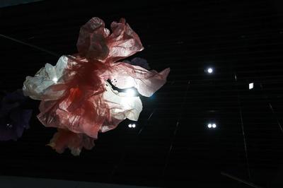 廈門仧美術(shù)館2021年度波普大展&ldquo;Art for All-安迪&middot;沃霍爾&rdquo;開(kāi)幕