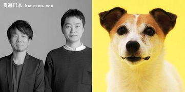 汪星人的住房需求，你懂嗎？電影攝制服務的視角